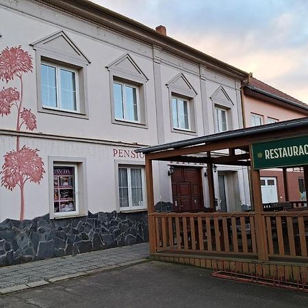 Pension Pavir Zidlochovice Esterno foto